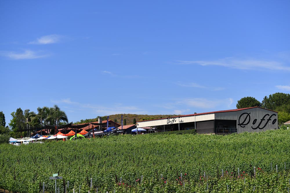 2024 KCF MotoDoffo Fundraiser at Doffo Winery