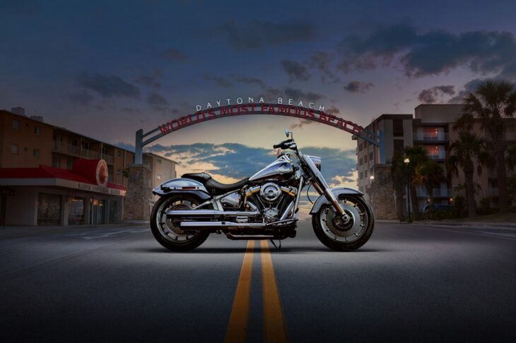 2025 Harley-Davidson Fat Boy Gray Ghost right side